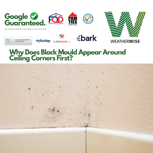 black-mould-in-ceiling-corners-manchester-weather-wise-solutions-limited