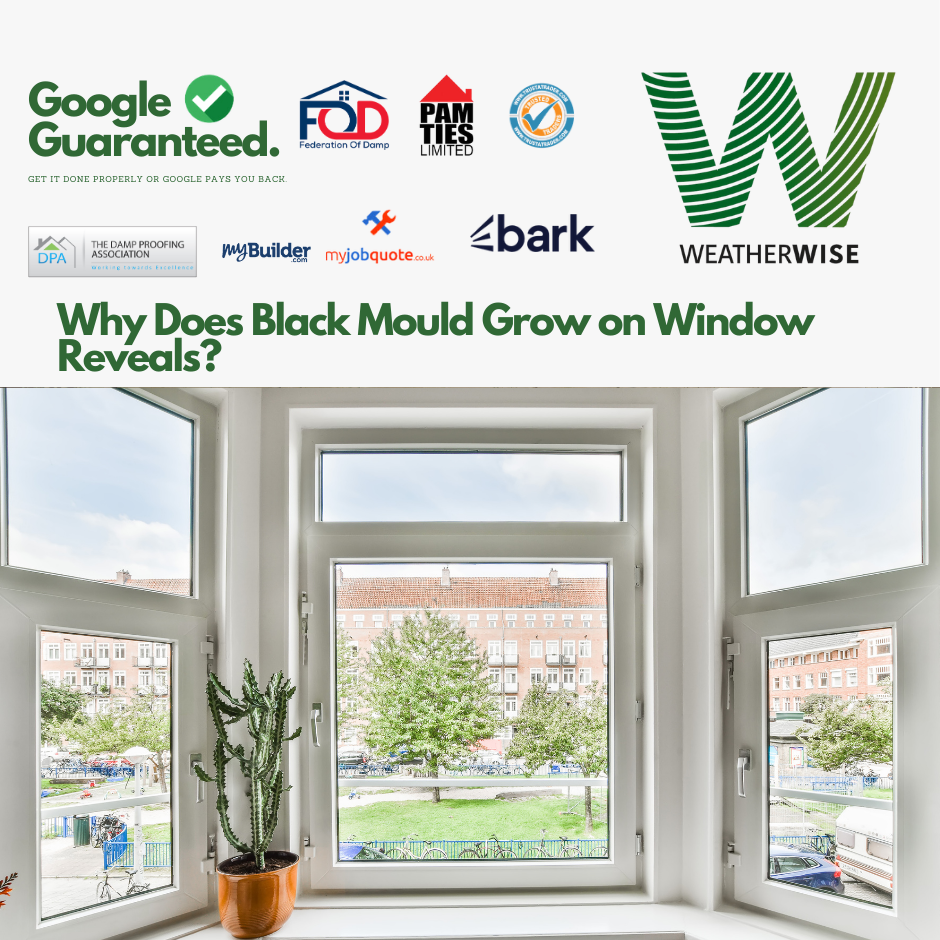 Why_Does_Black_Mould_Grow_on_Window_Reveals_Wigan