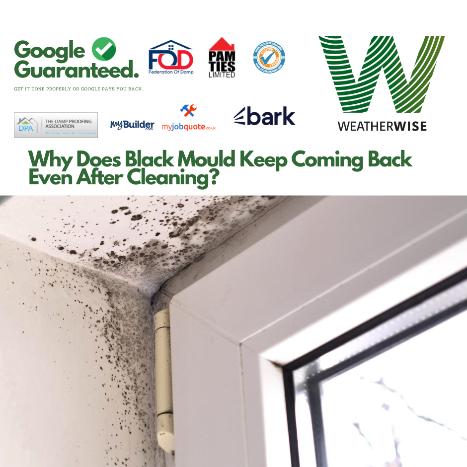 black-mould-keeps-coming-back-warrington-condensation-fix-weather-wise-solutions-limited