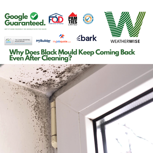 black-mould-keeps-coming-back-warrington-condensation-fix-weather-wise-solutions-limited