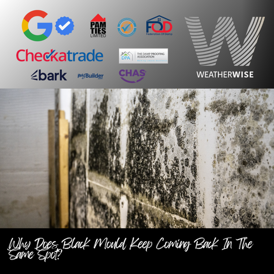 how-can-masonry-protection-reduce-future-damp-problems-bolton-weather-wise-solutions-limited