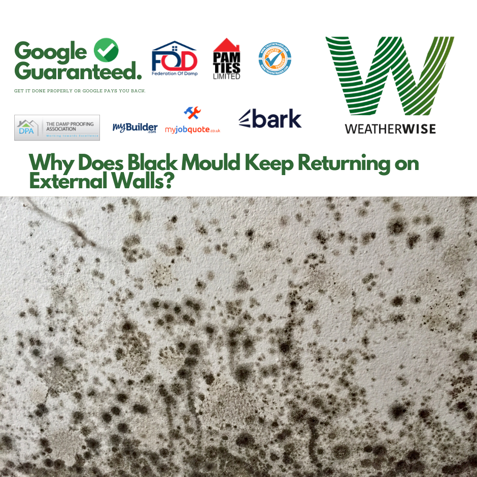 black-mould-keeps-returning-stoke-on-trent-weather-wise-solutions-limited