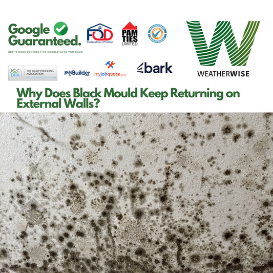 black-mould-keeps-returning-stoke-on-trent-weather-wise-solutions-limited