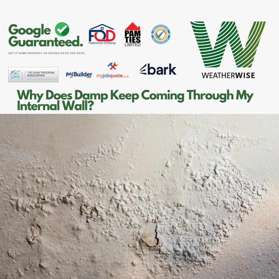 Why_Does_Damp_Keep_Coming_Through_My_Internal_Wall_Ellesmere_Port_Weather_Wise_Solutions_Limited