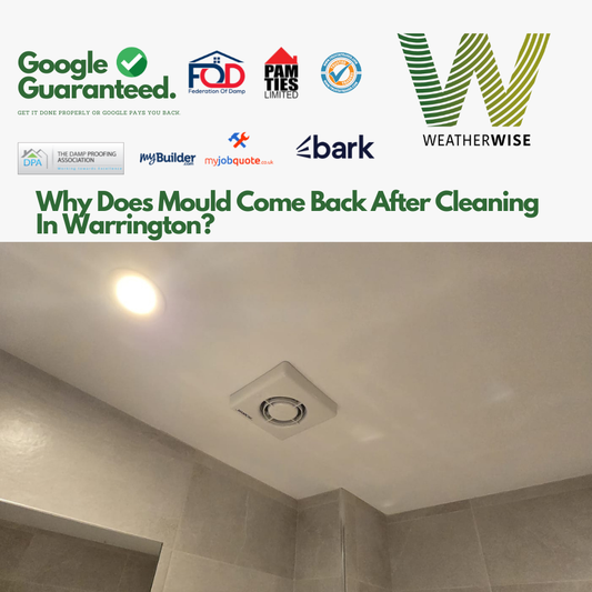 Why_Does_Mould_Come_Back_After_Cleaning_Warrington_Weather_Wise_Solutions_Limited