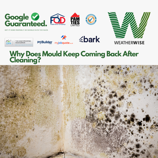 Why_Does_Mould_Keep_Coming_Back_After_Cleaning_Bolton_Homes