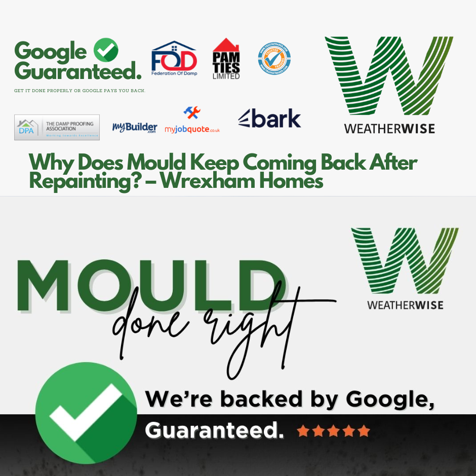 Why_Does_Mould_Keep_Coming_Back_After_Repainting_Wrexham_Weather_Wise_Solutions_Limited