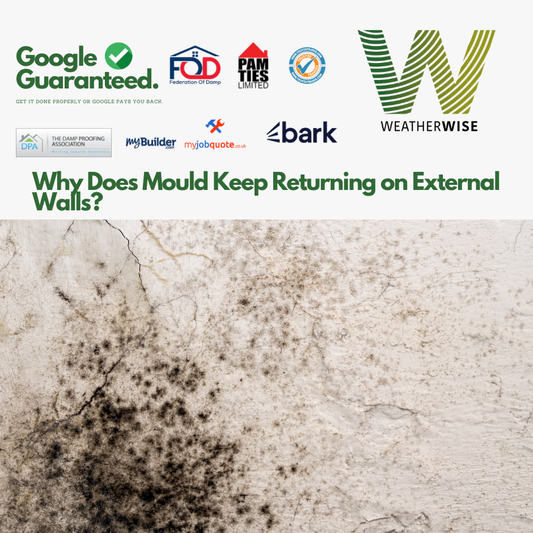 Why_Does_Mould_Keep_Returning_on_External_Walls_Prestatyn_Weather_Wise_Solutions_Limited