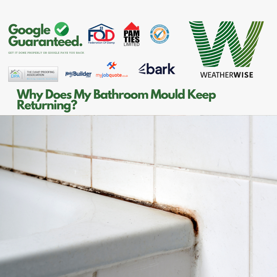 Why_Does_My_Bathroom_Mould_Keep_Returning_Preston_Weather_Wise_Solutions_Limited