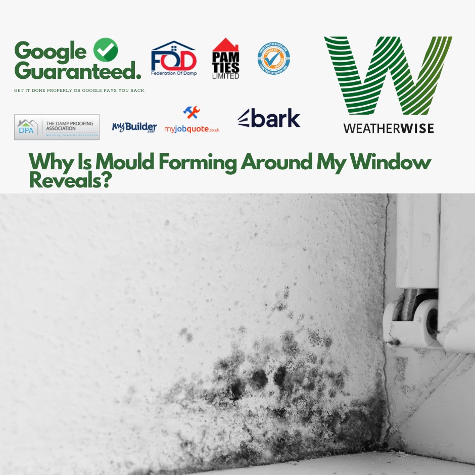 Why_Is_Mould_Forming_Around_My_Window_Reveals_St_Helens_Homes