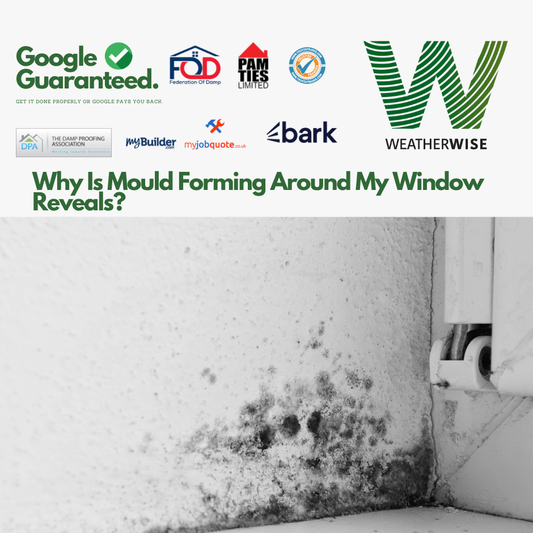 Why_Is_Mould_Forming_Around_My_Window_Reveals_St_Helens_Homes
