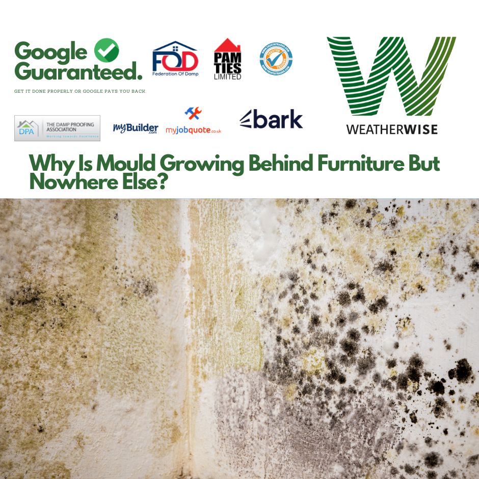 mould-growing-behind-furniture-stoke-on-trent-weather-wise-solutions-limited