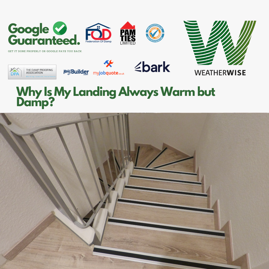 Why_Is_My_Landing_Always_Warm_but_Damp_Sale_Weather_Wise_Solutions_Limited