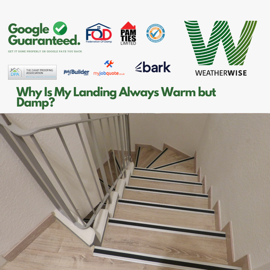 Why_Is_My_Landing_Always_Warm_but_Damp_Sale_Weather_Wise_Solutions_Limited