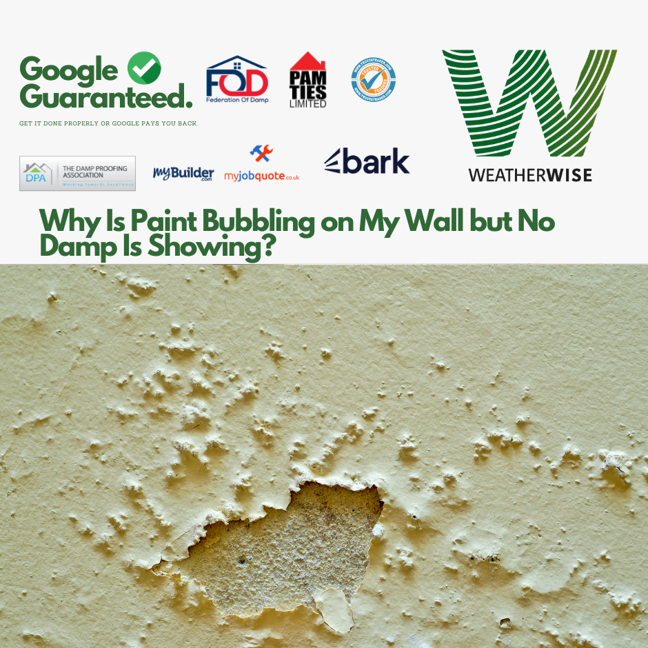 Why_Is_Paint_Bubbling_on_My_Wall_but_No_Damp_Is_Showing_Ashton_Homes