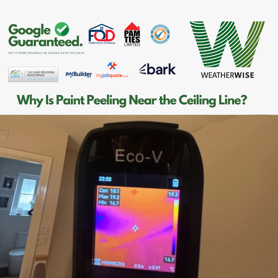 Why_Is_Paint_Peeling_Near_the_Ceiling_Line_Tamworth_Homes