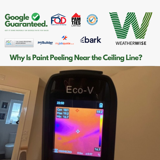 Why_Is_Paint_Peeling_Near_the_Ceiling_Line_Tamworth_Homes