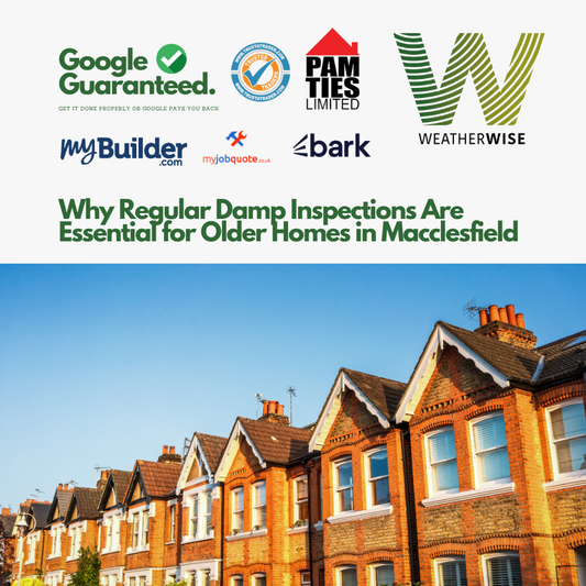 Damp_Specialist_Near_Me_Weather_Wise_Solutions_Limited