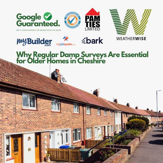 Why Regular Damp Surveys Are Essential for Older Homes in Cheshire