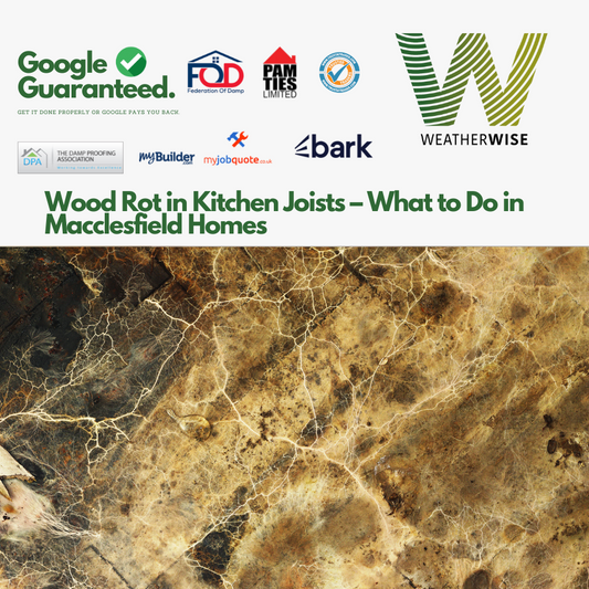 wet-rot-kitchen-joists-macclesfield-weather-wise-solutions-limited