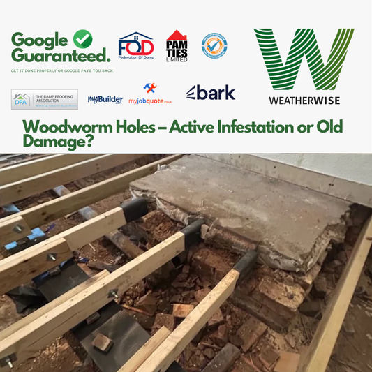 Woodworm Holes – Active Infestation or Old Damage?