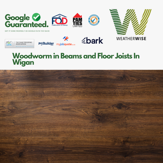woodworm-beams-floor-joists-wigan-weather-wise-solutions-limited
