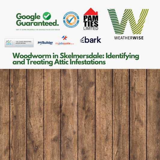 Woodworm_in_Skelmersdale_Identifying_and_Treating_Attic_Infestations