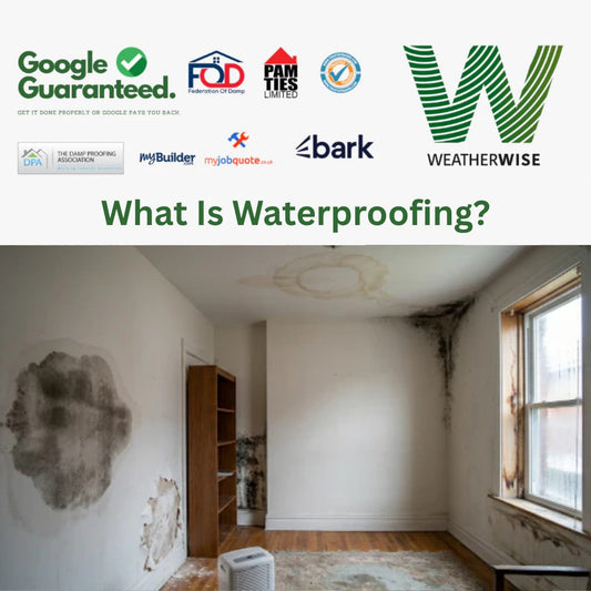 Mold and water damage on walls and ceiling in an empty room