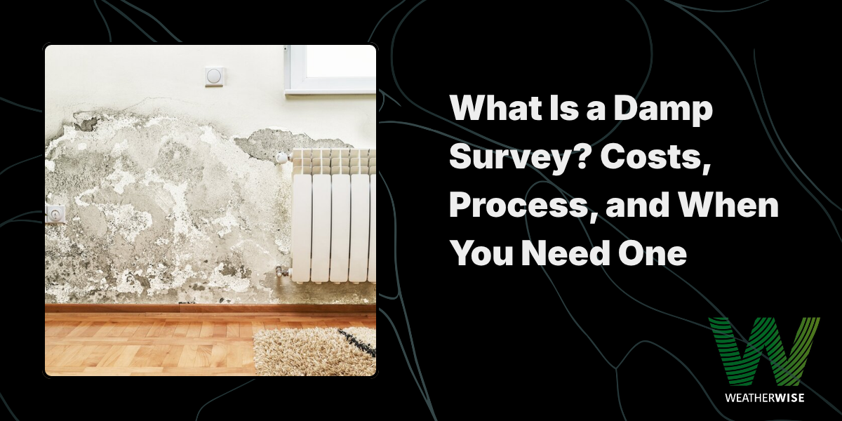 What Is a Damp Survey? A Complete Guide to Diagnosis, Costs, and When You Actually Need One