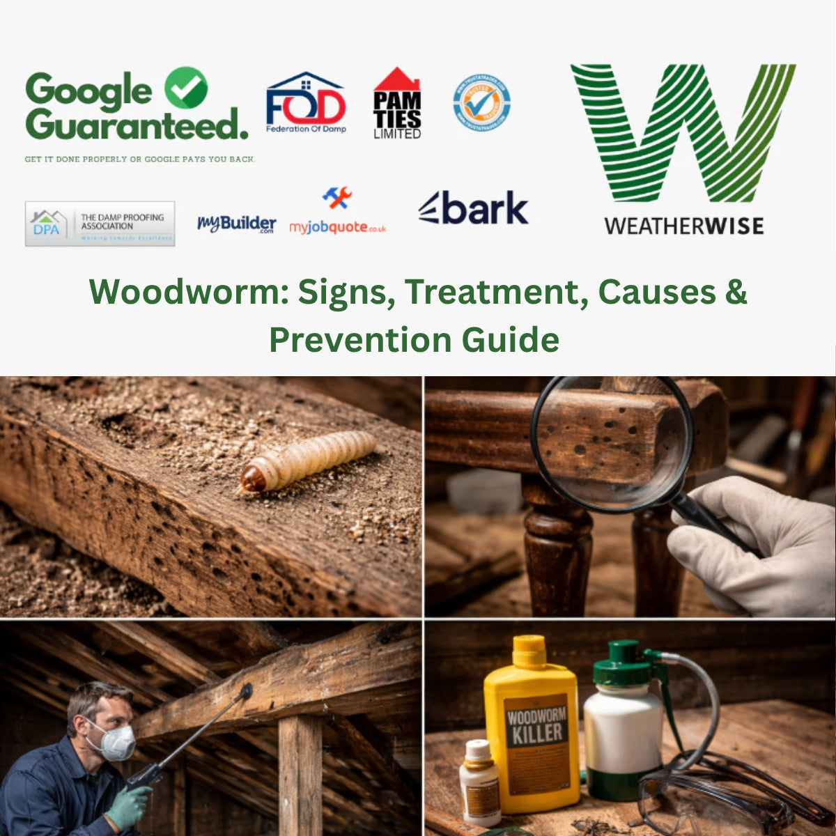 Woodworm: Signs, Treatment, Causes & Prevention Guide