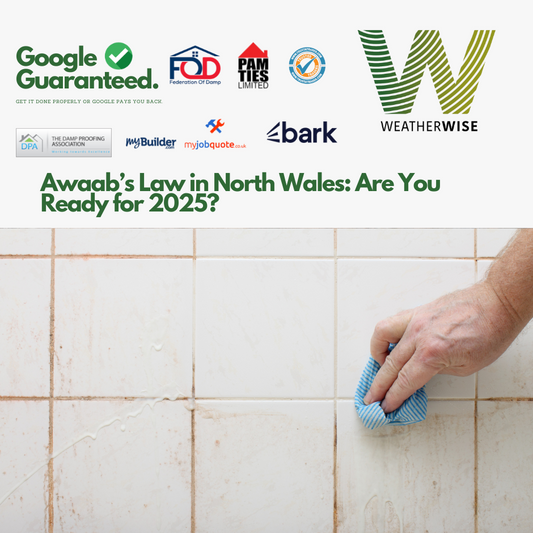 Awaab’s Law in North Wales: Are You Ready for 2025?