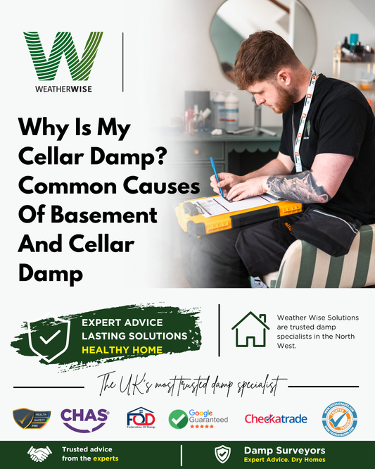 Why Is My Cellar Damp? Common Causes Of Basement And Cellar Damp