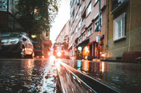 Best Practices for Drying Flood-Damaged Buildings