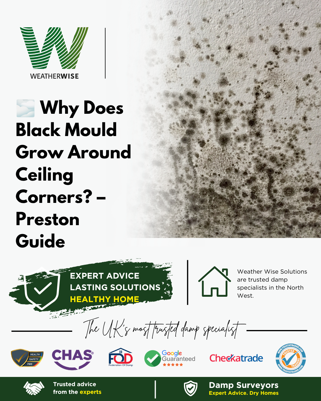 Why Does Black Mould Grow Around Ceiling Corners? – Preston Guide