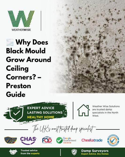 Why Does Black Mould Grow Around Ceiling Corners? – Preston Guide