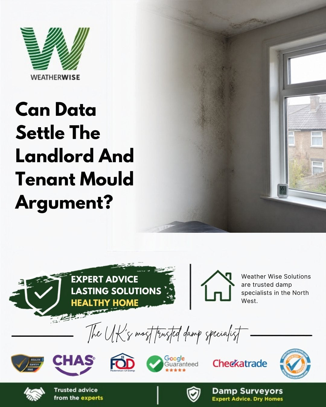 Black mould marking the wall in the corner of a bedroom beside a window, with the houses opposite visible outside