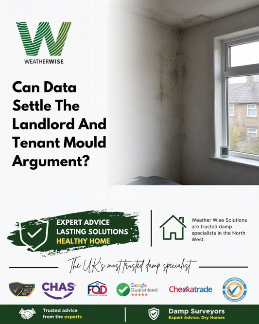 Black mould marking the wall in the corner of a bedroom beside a window, with the houses opposite visible outside