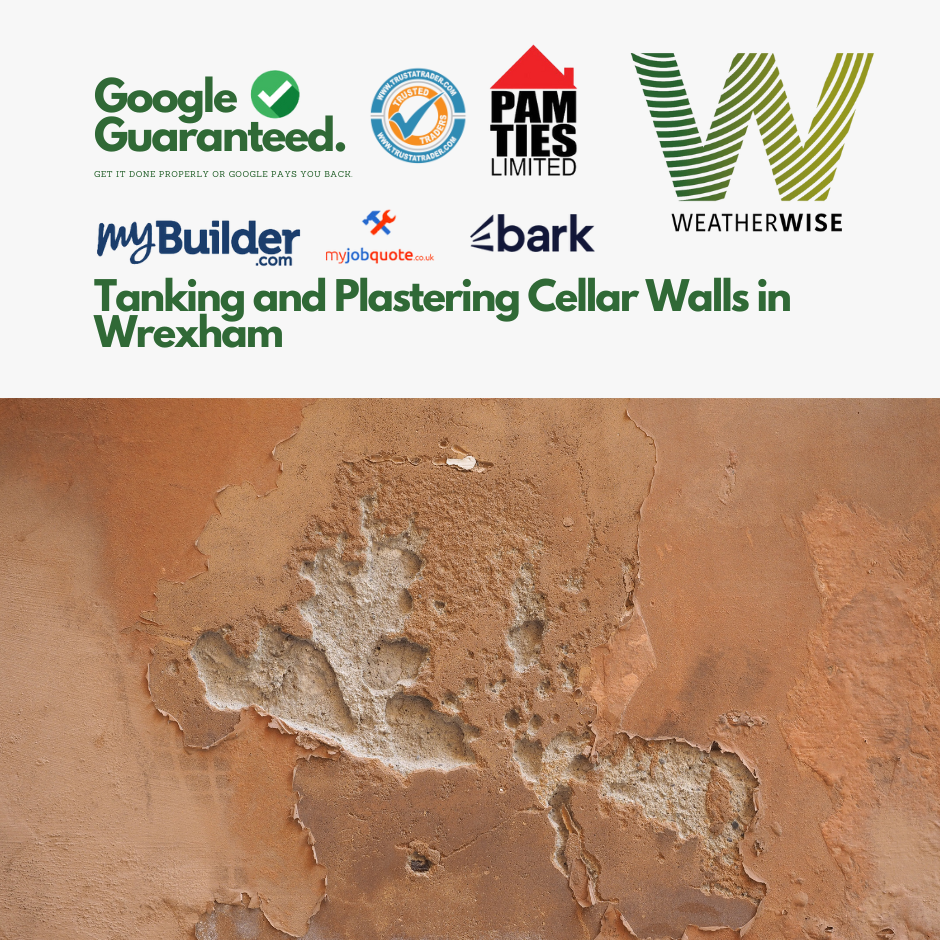 Tanking and Plastering Cellar Walls in Wrexham