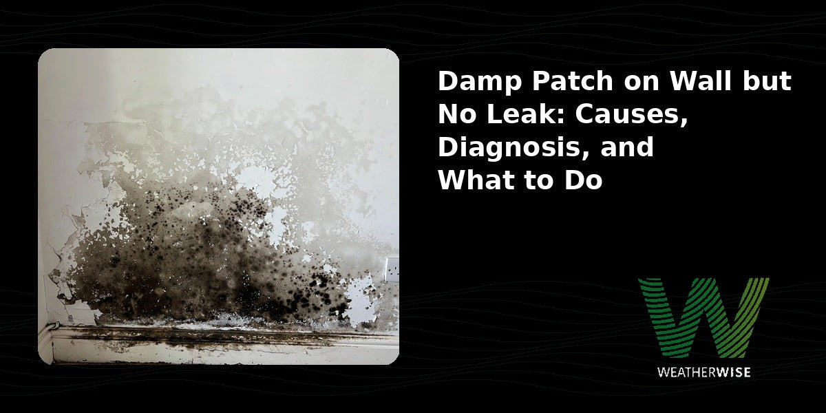 Damp Patch on Wall but No Leak: Causes, Diagnosis, and What to Do