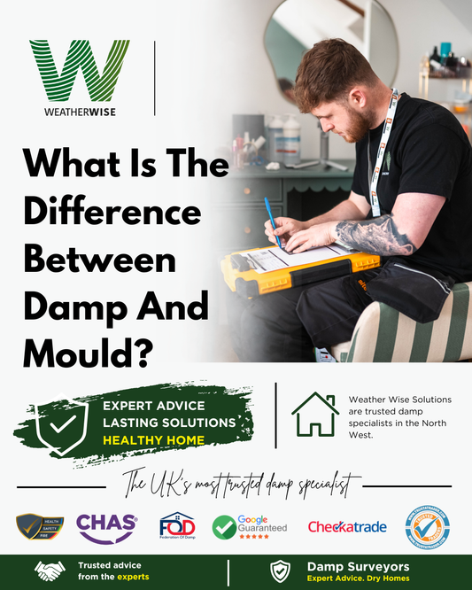 difference-between-damp-and-mould-manchester-weather-wise-solutions