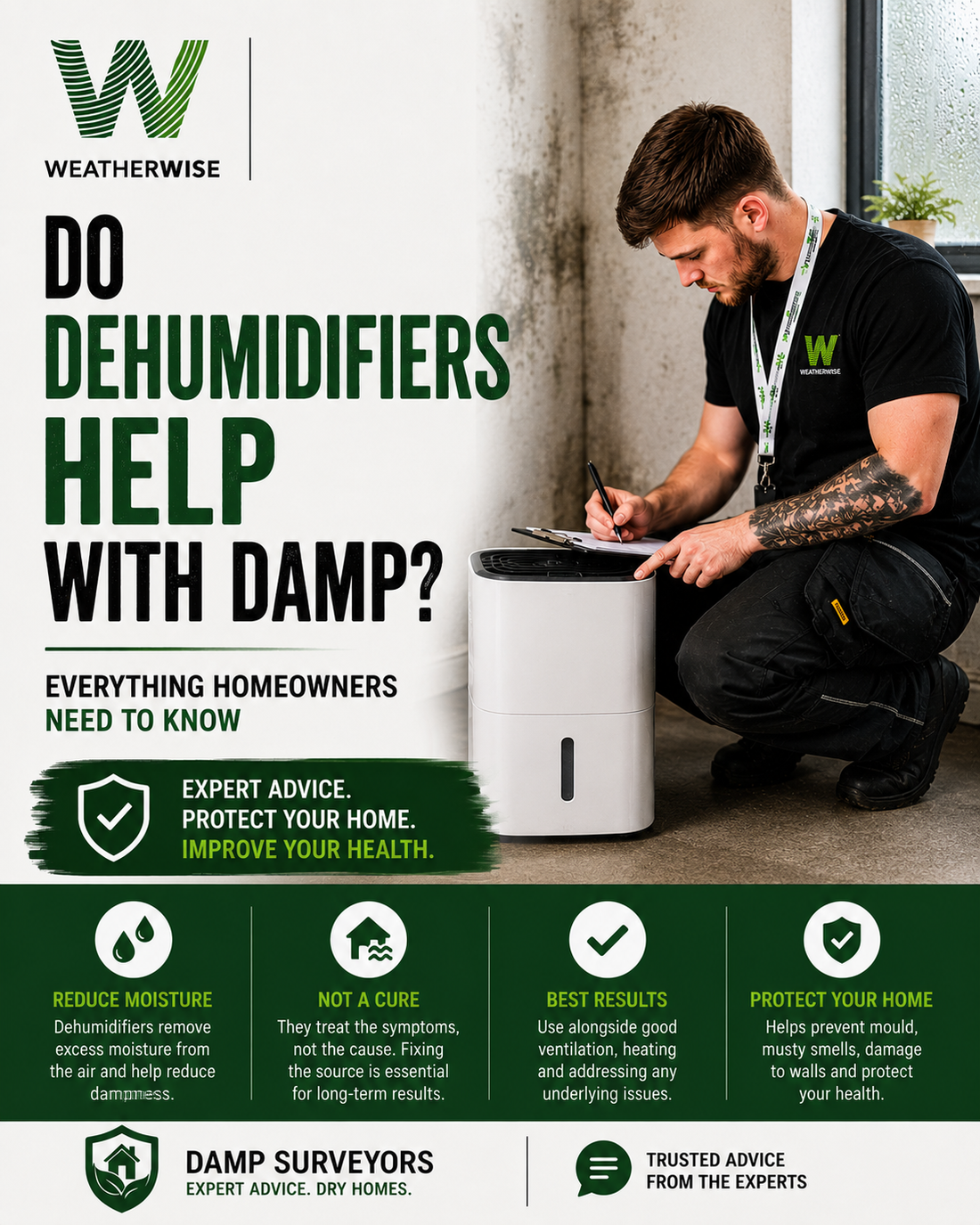 Do Dehumidifiers Help With Damp? Everything Homeowners Need To Know
