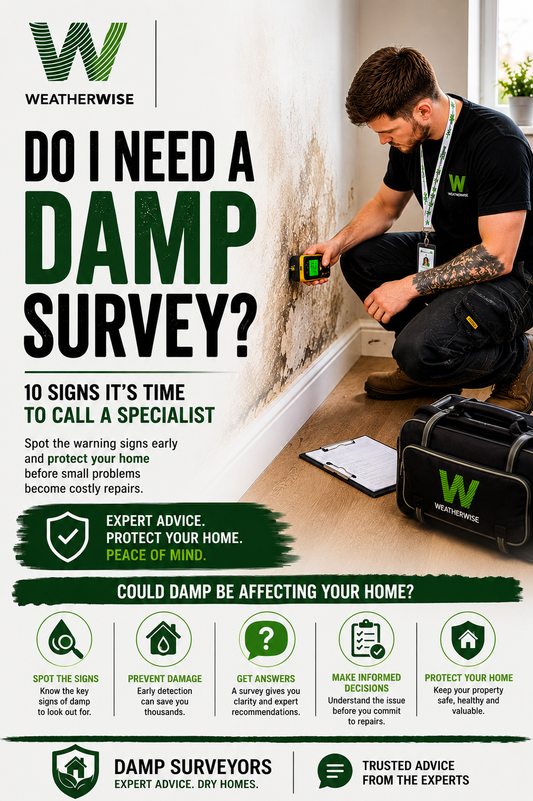 Do I Need A Damp Survey? 10 Signs It's Time To Call A Specialist