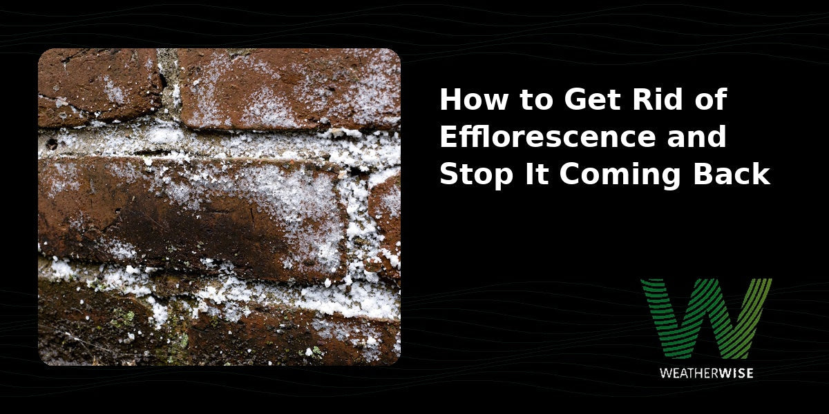 How to Get Rid of Efflorescence and Stop It Coming Back