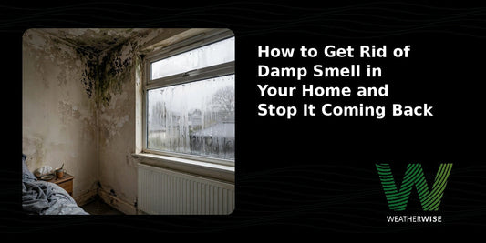 How to get rid of damp smell in your home and stop it coming back - causes, treatment and prevention tips