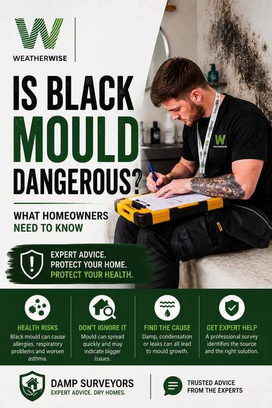 Is Black Mould Dangerous? What Homeowners Need To Know