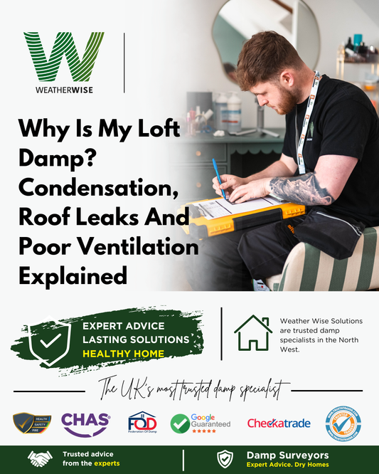 Why Is My Loft Damp? Condensation, Roof Leaks And Poor Ventilation Explained