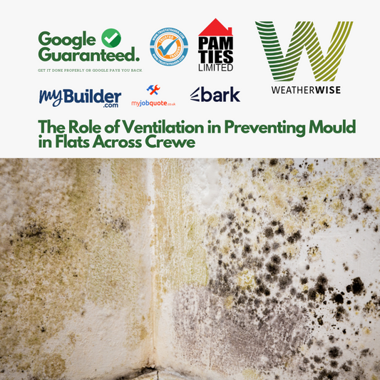 The Role of Ventilation in Preventing Mould in Flats Across Crewe