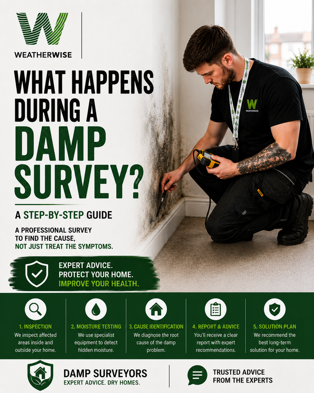 What Happens During A Damp Survey? A Step-By-Step Guide