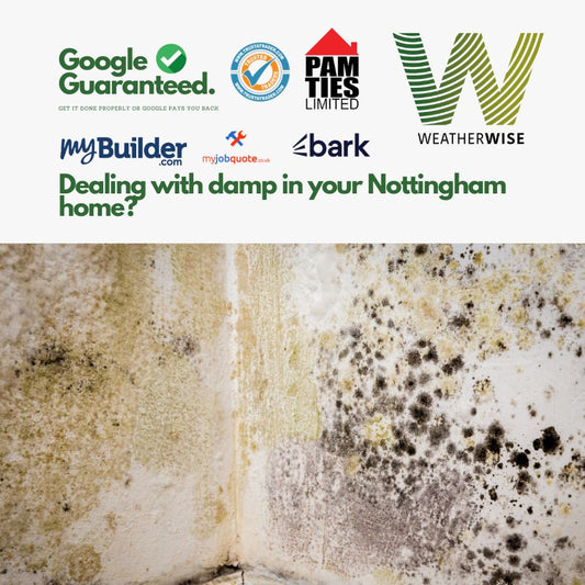 Solving Household Damp Problems in Nottingham: What Homeowners Need to Know