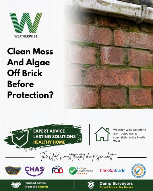 Should you clean moss and algae off brickwork before applying masonry protection in Mold? Red brick wall with green algae in the mortar joints below a gutter